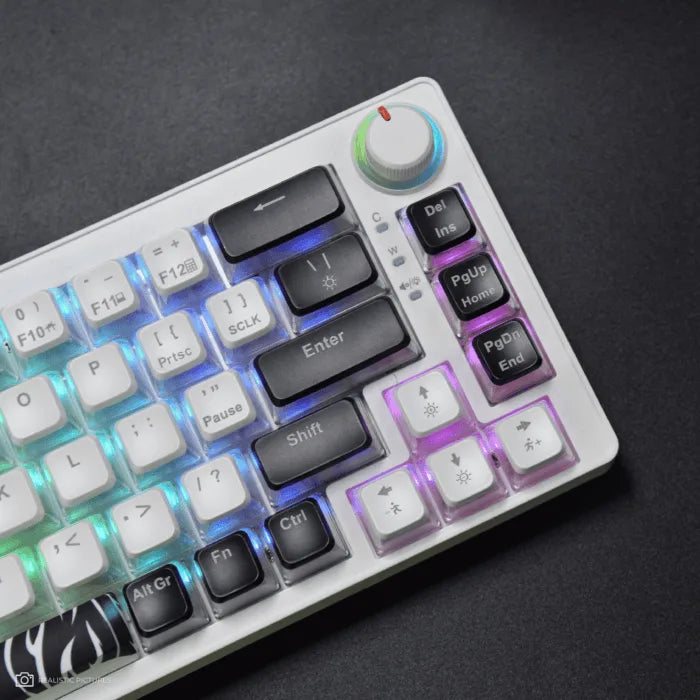 Golden Lion GI68 65% Hot-Swappable Mechanical Keyboard – Full RGB Lighting, USB-C, Red Outemu Switches, Compact Gaming Keyboard (white)