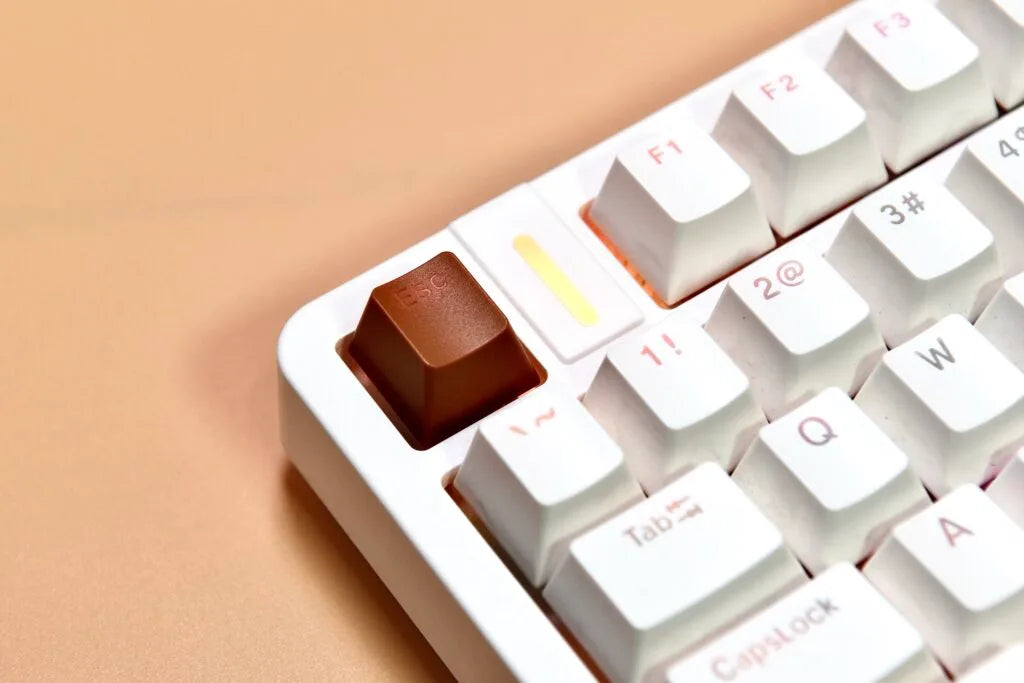 Golden Lion GM87 TKL Hot-Swappable Mechanical Keyboard with Full RGB Lighting Silver Switch Options