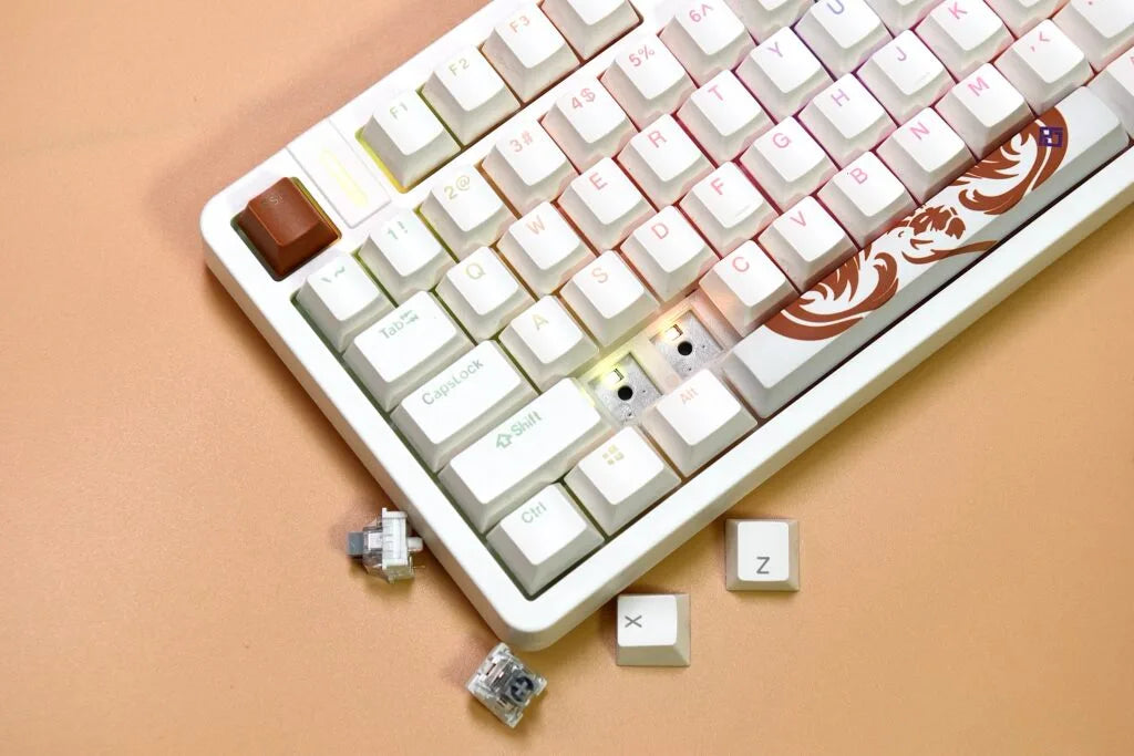 Golden Lion GM87 TKL Hot-Swappable Mechanical Keyboard with Full RGB Lighting Silver Switch Options