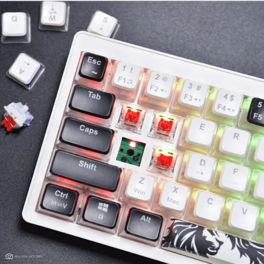 Golden Lion GI68 65% Hot-Swappable Mechanical Keyboard – Full RGB Lighting, USB-C, Red Outemu Switches, Compact Gaming Keyboard (white)